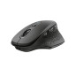 Trust Ozaa mouse Ufficio Mano destra RF Wireless Ottico 2400 DPI 23812 Trust Ozaa mouse Ufficio Mano destra RF Wireless Ottico 2400 DPI 23812
