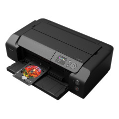 Canon imagePROGRAF PRO-310 stampante a getto d'inchiostro A colori 4800 x 2400 DPI A3+ Wi-Fi