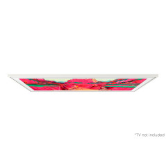 Samsung VG-SCFF65WTBXC accessorio TV