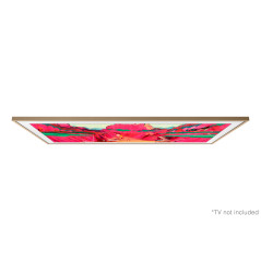 Samsung VG-SCFF65TKBXC accessorio TV