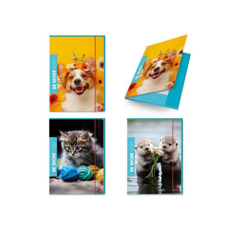 CF6 CARTELLA 3 LEMBI FLOR DORSO 1