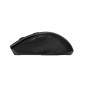 Trust Nito 25549 mouse Universale Mano destra RF Wireless Ottico 2200 DPI Trust Nito 25549 mouse Universale Mano destra RF Wireless Ottico 2200 DPI