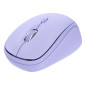 Trust Yvi+ mouse Universale Ambidestro RF senza fili + Bluetooth Ottico 1600 DPI 25550 Trust Yvi+ mouse Universale Ambidestro RF senza fili + Bluetooth Ottico 1600 DPI 25550