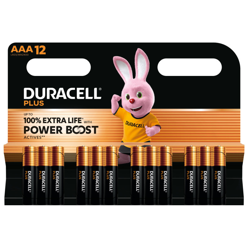 Duracell Plus Batteria monouso Mini Stilo AAA Alcalino DU0223