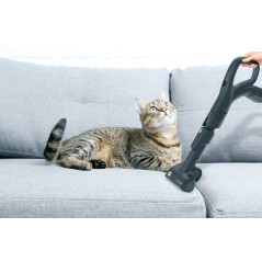 Hoover H-POWER 700 , Aspirapolvere a traino, 2L, 850W, Senza sacchetto