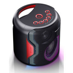 Sharp PS-921 altoparlante portatile e per feste Sistema di altoparlanti portatile 2.1 Nero