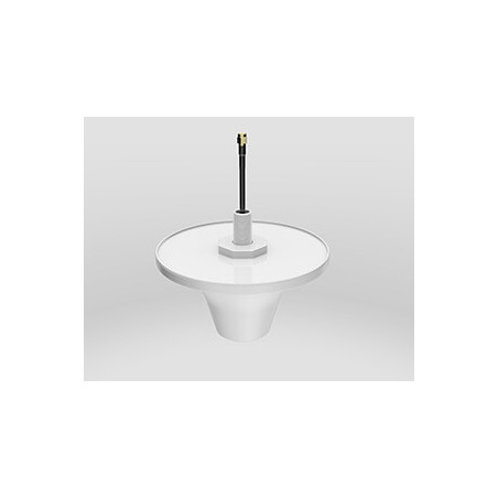 Zyxel IBCACCY-ZZ0101F antenna di rete SMA