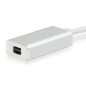 Equip Adattatore da USB-C a Mini DisplayPort Equip Adattatore da USB-C a Mini DisplayPort