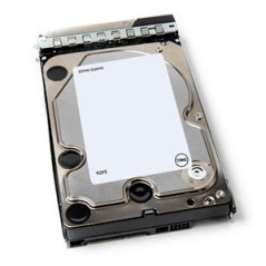 DELL 401-ABHY disco rigido interno 12 TB 7200 Giri min 3.5" Serial ATA III