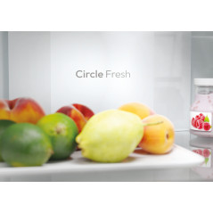 Candy CNCQ2T620DX Libera installazione 409 L D Acciaio inox