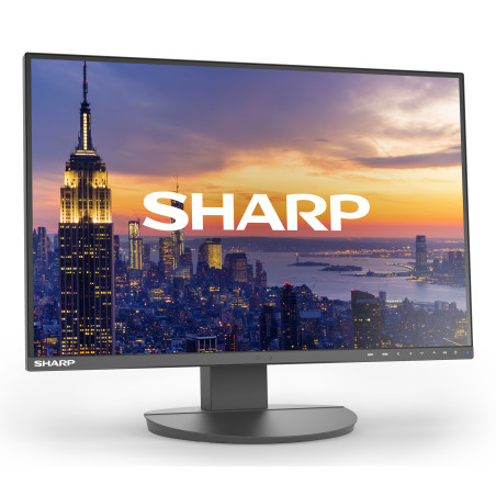 Sharp MultiSync EA242W Monitor PC 61 cm (24") 1920 x 1200 Pixel Full HD LCD Nero