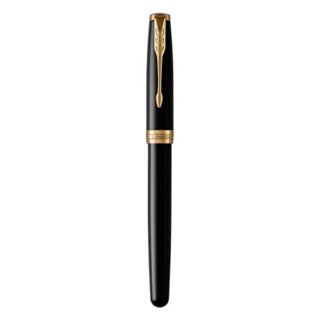 Parker 1931494 penna stilografica Nero, Oro 1 pz