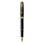 Parker 1931494 penna stilografica Nero, Oro 1 pz