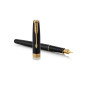 Parker 1931494 penna stilografica Nero, Oro 1 pz