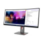 Lenovo ThinkVision P40WD-40 Monitor Lenovo ThinkVision P40WD-40 Monitor