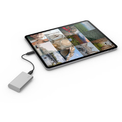 LaCie STKS1000400 unità esterna a stato solido Tecnologia Thunderbolt 1 TB USB tipo-C 3.2 Gen 2 (3.1 Gen 2) Argento
