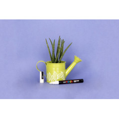 POSCA Punta Media Original, Confezione 8 Pezzi