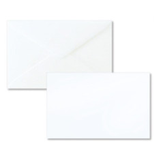 Saul Sadoch Rex 8109 busta Bianco 100 pz