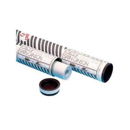 Canson C200012129 carta per plotter 20 m 110 cm