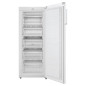 Candy CMIOUS 5142WH/N Congelatore verticale Libera installazione 160 L F Bianco Candy CMIOUS 5142WH/N Congelatore verticale Libera installazione 160 L F Bianco
