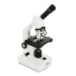 Celestron LABS CM2000-CF 2000x Microscopio ottico Celestron LABS CM2000-CF 2000x Microscopio ottico