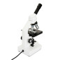 Celestron LABS CM2000-CF 2000x Microscopio ottico Celestron LABS CM2000-CF 2000x Microscopio ottico