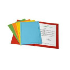 Fraschini 501-ASS cartella Multicolore A4