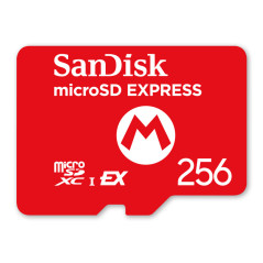 Nintendo 10016157 memoria flash 256 GB MicroSDXC