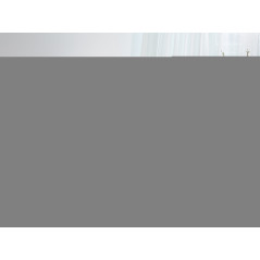 Equip Telaio elettrico ERGO per scrivania, doppio motore, nero