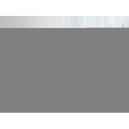 Equip Telaio elettrico ERGO per scrivania, doppio motore, nero