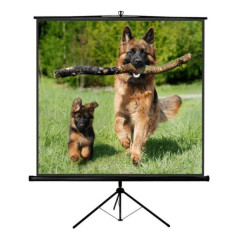 Sopar NEW Junior schermo per proiettore 1 1