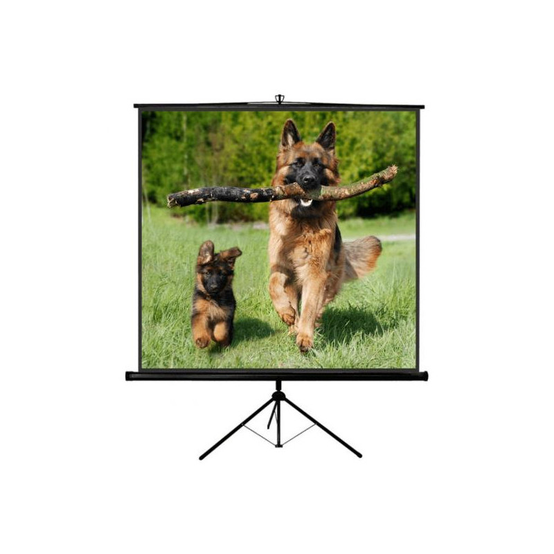 Sopar NEW Junior schermo per proiettore 1:1