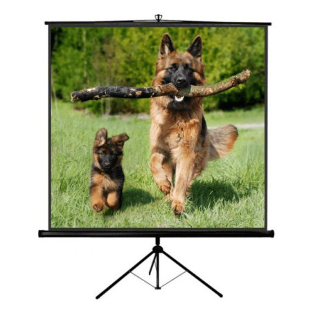 Sopar NEW Junior schermo per proiettore 1 1