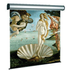 Sopar Electric professional schermo per proiettore 3,17 m (125") 1 1