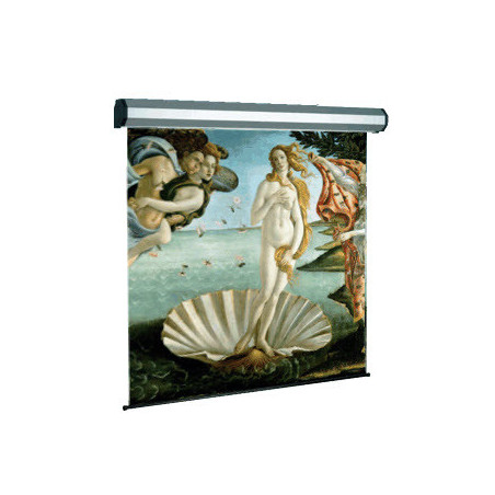 Sopar Electric professional schermo per proiettore 3,17 m (125") 1 1