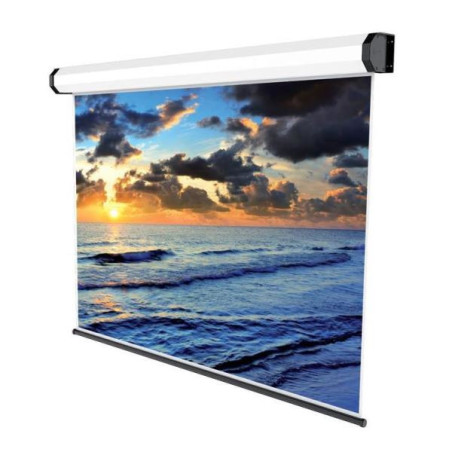 Sopar Electric Professional schermo per proiettore 3,2 m (126") 16 9