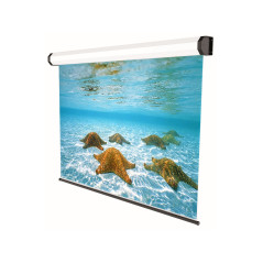 Sopar 5201 schermo per proiettore 2,49 m (98") 4 3