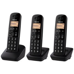 Panasonic Telefono KX-TGB613JT
