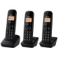 Panasonic Telefono KX-TGB613JT