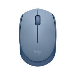 Logitech M171