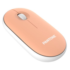 Pantone PT-MS001E mouse Casa RF Wireless Laser 100 DPI