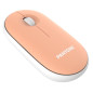 Pantone PT-MS001E mouse Casa RF Wireless Laser 100 DPI