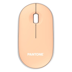 Pantone PT-MS001E mouse Casa RF Wireless Laser 100 DPI