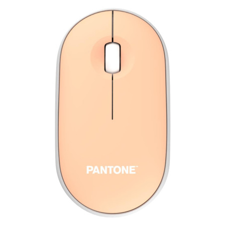 Pantone PT-MS001E mouse Casa RF Wireless Laser 100 DPI