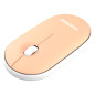 Pantone PT-MS001E mouse Casa RF Wireless Laser 100 DPI