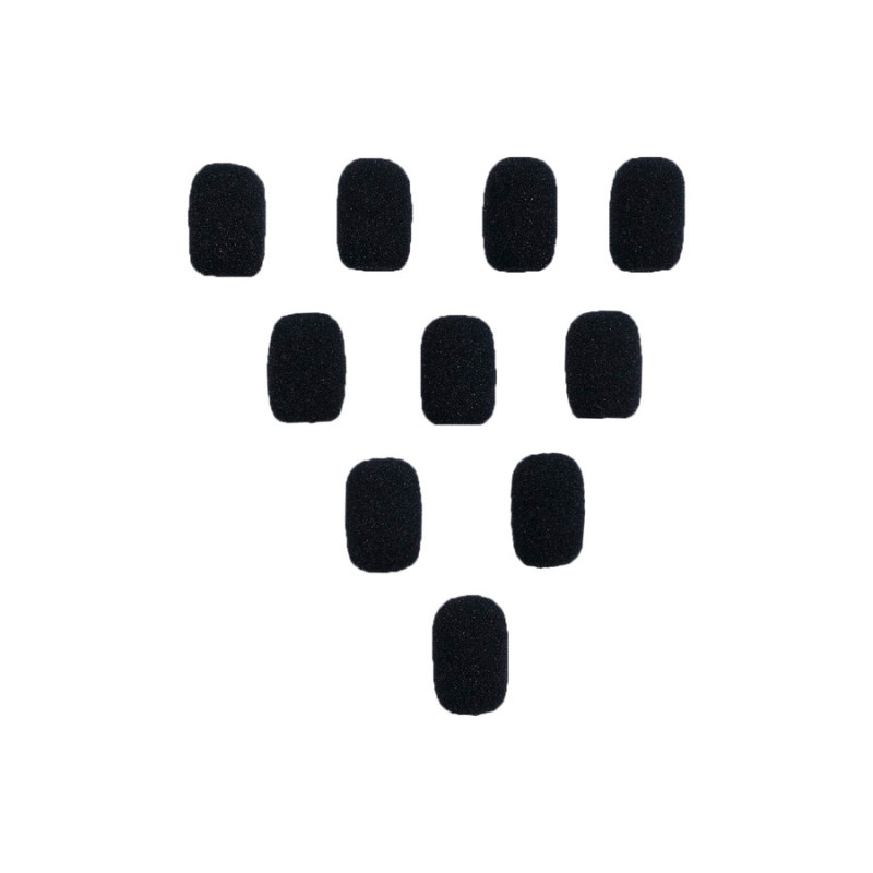 BlueParrott 204228 accessorio per cuffia Custodia BlueParrott 204228 accessorio per cuffia Custodia