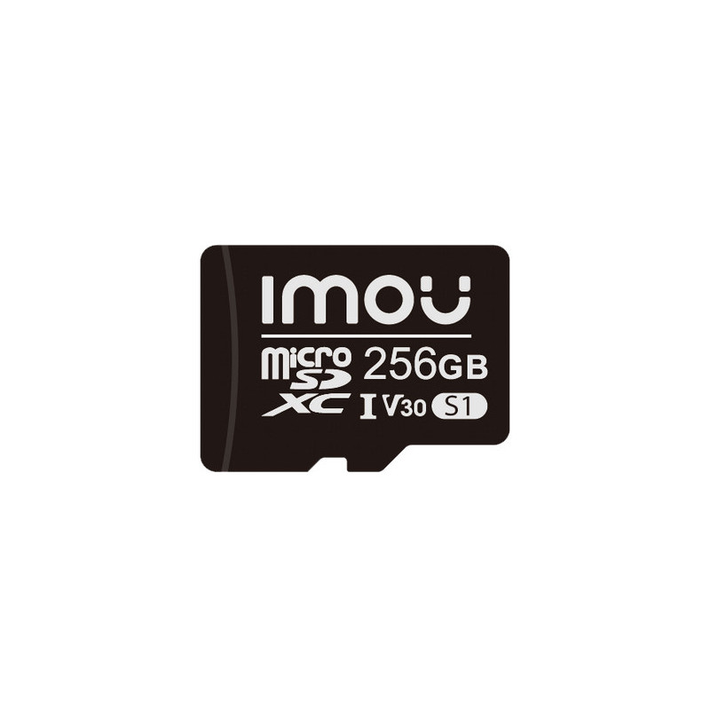 Imou ST2-256-S1 memoria flash 256 GB MicroSD NAND Classe 10