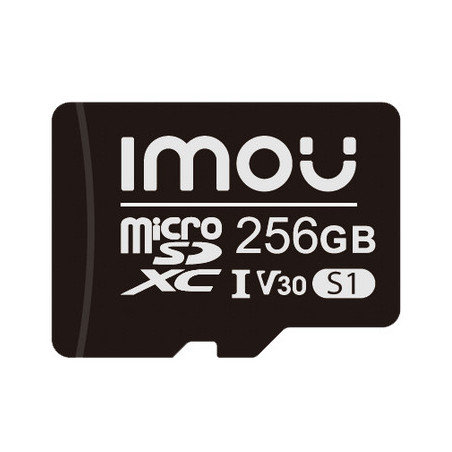 Imou ST2-256-S1 memoria flash 256 GB MicroSD NAND Classe 10