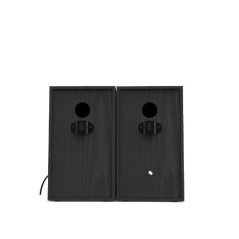 Empire Media ECO100 PLUS Nero Cablato 70 W