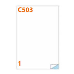 Markin 210C503VE etichetta autoadesiva Rettangolo Permanente Verde 100 pz